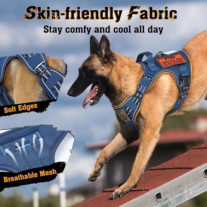 rabbitgoo Dog Harness for Large Dogs No Pull, Tactical Service Dog Vest with Molle and Control Handle, Adjustable and Reflective Military Pet Harness for Easy Walking and Training, Blue, L