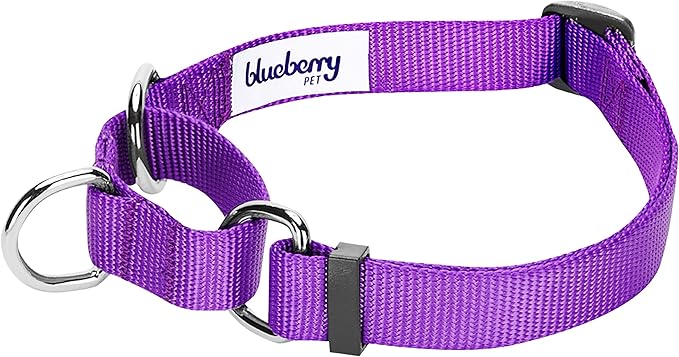 Blueberry Pet Essentials Martingale Safety Training Dog Collar, Dark Orchid, Medium, Heavy Duty Nylon Adjustable Collars for Dogs