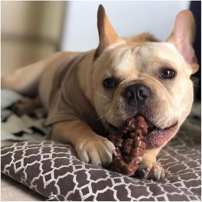 Nylabone Power Chew Textured Dog Chew Ring Toy - Tough and Durable Dog Chew Toy for Aggressive Chewers - Flavor Medley, Small/Regular (1 Count)