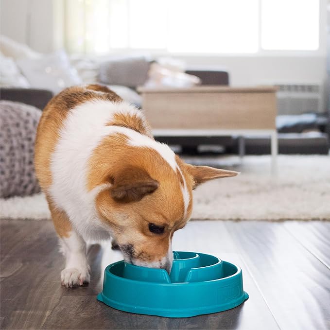 Outward Hound Fun Feeder Slo Bowl, Slow Feeder Dog Bowl, Medium/Mini, Turquoise