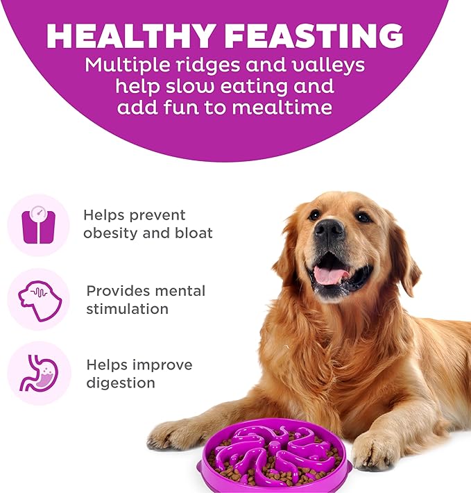 Outward Hound Fun Feeder Slo Bowl, Large Slow Feeder Dog Bowl, 4 Cups, Purple