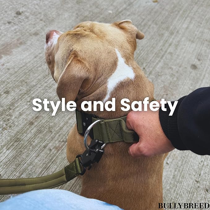 BULLYBREED Premium Dog Colar with Handle, Heavy Duty Dog Collar, Tactical Dog Collar, Quick-Release Metal Buckle, Thick Dog Collar, Dog Collar for Medium Dogs, Dog Collar for Large Dogs (Green, Large)