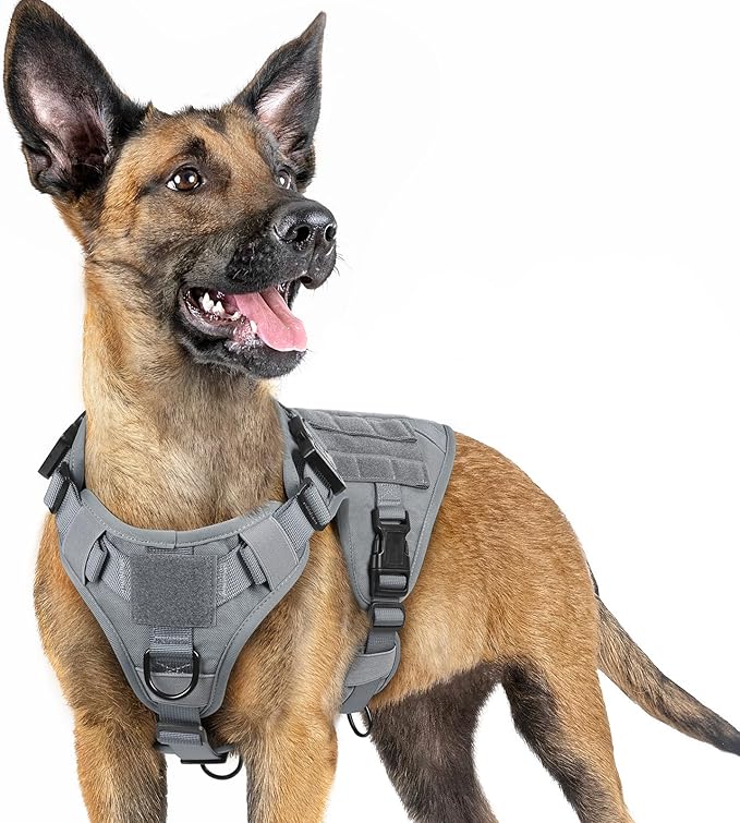 rabbitgoo Tactical Dog Harness for Large Dogs, Heavy Duty Dog Harness with Handle, No-Pull Service Dog Vest Large Breed, Adjustable Military Dog Vest Harness for Training Hunting Walking, Grey, S