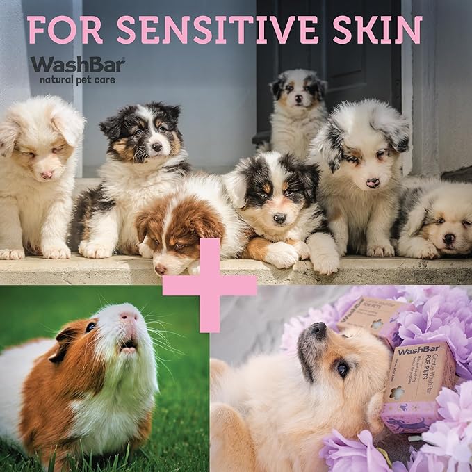 Gentle WashBar for Pets - Mild and Safe Puppy Shampoo for Small Dogs. Fresh Scent in a Compact & Lightweight Bar Soap. Suitable for Sensitive Skin. 2.8oz Bar