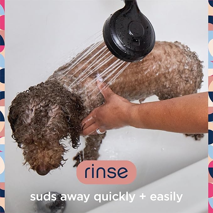 Pet Life Unlimited Dog Shampoo Itchy Skin Relief Foaming Spray, Itch Relief for Dogs - Plant-Based Honey Oat Blossom Scented Dog Itching Skin Relief Spray Shampoo - Made in USA - 16 Ounce (Pack of 2)