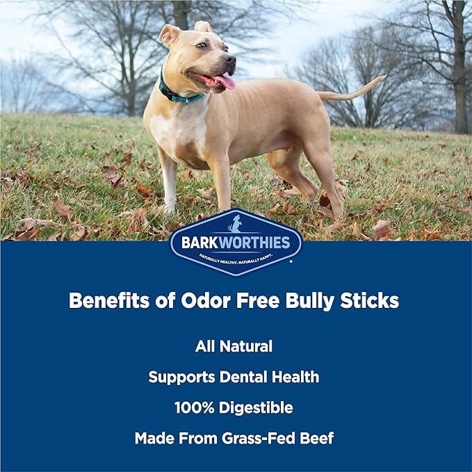 Barkworthies Odor-Free 6-inch Bully Sticks (5 Pack) - Healthy Dog Chews - Protein-Packed, Easily digestible, All-Natural Rawhide Alternative Dog Treats - Promotes Dental Health