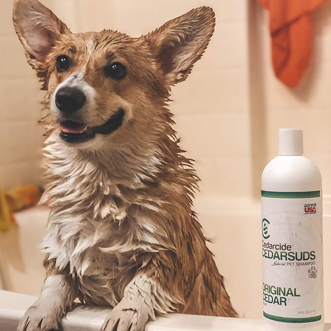 Cedarcide Cedarsuds Original Cedar Pet Shampoo (Quart) | Non-Toxic and Eco-Friendly | Cleans, and Moisturizes | Soft, Hydrating Coat for Pets | Removes Mats and Tangles