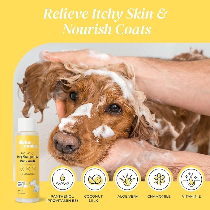 Heavenly Dog Shampoo & Body Wash - Anti-Itch - Dog Shampoos - pH Balanced Conditioning Dog Bath Blend with Collagen, Aloe, Coconut Milk, Vitamin E - Soothe Itchy Skin & Coat - 13.5oz