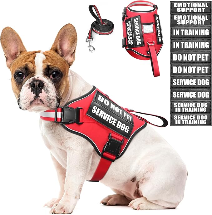 Service Dog Harness and Leash Set, Training Dog Vest with 10 Dog Patches, Emotional Support Therapy Dog Vest Harness for Small Medium Large and Extra Large Dogs(Red, M)