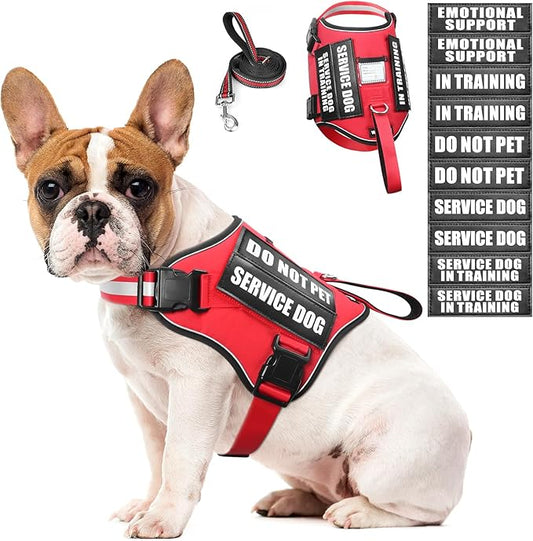 Service Dog Harness and Leash Set, Training Dog Vest with 10 Dog Patches, Emotional Support Therapy Dog Vest Harness for Small Medium Large and Extra Large Dogs(Red, M)