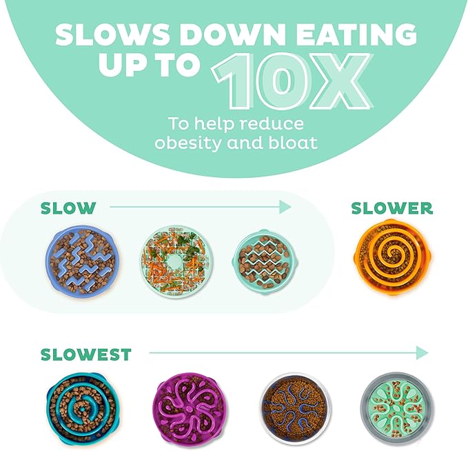 Outward Hound Fun Feeder Slo Bowl Slow Pet Feeder Bowl for Dogs in Mint Plastic