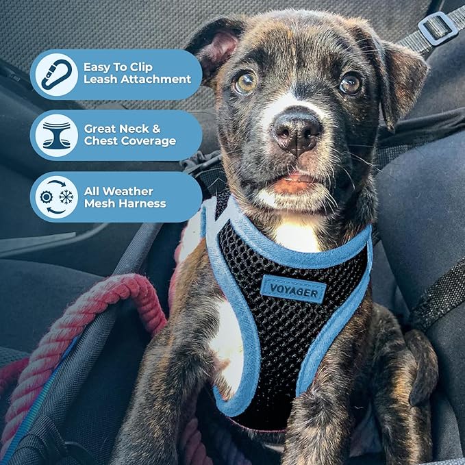 Voyager Step-in Air Dog Harness - All Weather Mesh, Reflective, No Pull Harness for Small, Medium Dogs, Cats - Secure with Hook & Loop Fastener, Buckle, Double D-Rings - Black/Blue Trim, L