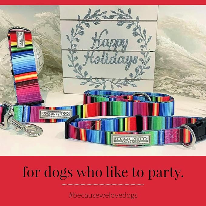 Lucky Love Dog Combo Set, Colorful Striped Dog Collar & Leash Set, Matching Collar and Leash for Small Girl or Boy Dogs, Nacho Combo, Small