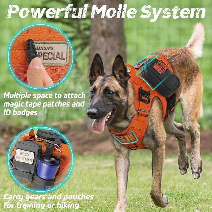 rabbitgoo Tactical Dog Harness for Large Dogs, Heavy Duty Dog Harness with Handle, No-Pull Service Dog Vest Large Breed, Adjustable Military Dog Vest Harness for Training Hunting Walking, Orange, XL