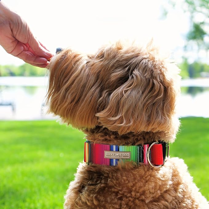 Lucky Love Dog Wide Dog Collar - Adjustable, Durable, Soft Webbing, & Comfortable 1.5 inch Wide Collar for Dogs Male and Female - in Nacho Pattern with Strong Buckle, Medium Size
