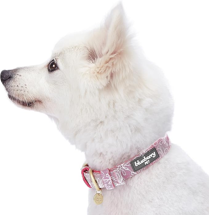Blueberry Pet 4 Colors Glam Life Lace Floral Stamping Adjustable Dog Collar in Iconic Pink, Neck 9-12.5", for Small Breed
