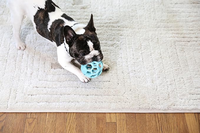 JW Pet HOL-ee Roller™, Dog Toy Puzzle Ball, Natural Rubber, Small (3 Inch Diameter), Blue