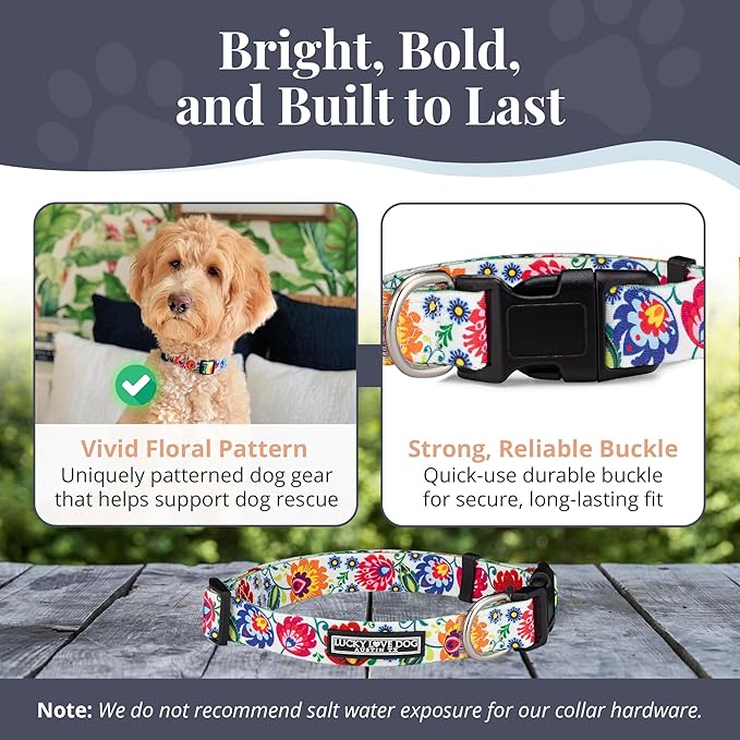 Lucky Love Dog - Adjustable Dog Collar with Easy Click Buckle for Small to Large Dogs, Durable, & Comfortable Collar for Male & Female Dogs, Pet Collar for Puppies & Adult Dogs - Ladybird, Medium