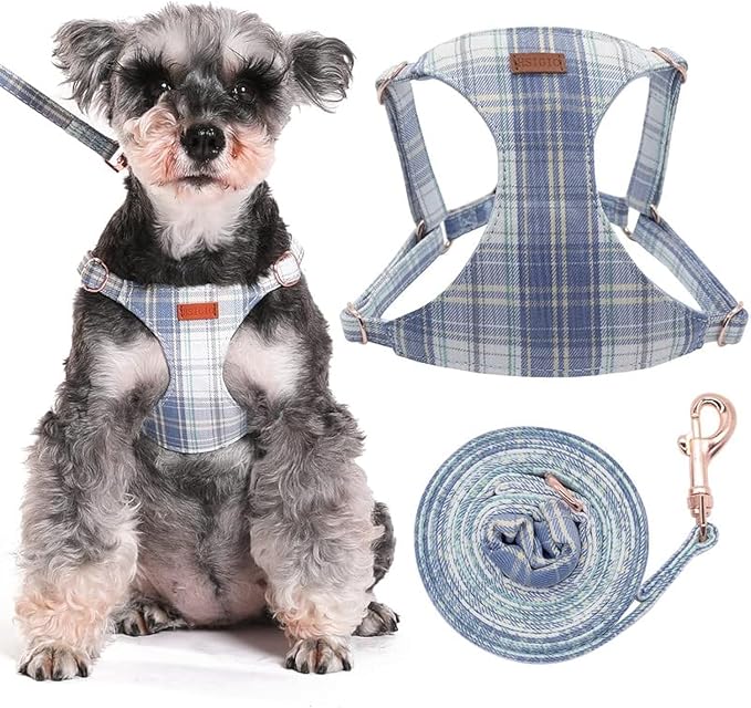 Small Dog Harness and Leash Set, Plaid Puppy Dog Harness XXS, Soft Adjustable Harness for Extra Small-Medium Pet Dogs and Cat No Pull, Blue Plaid, Medium