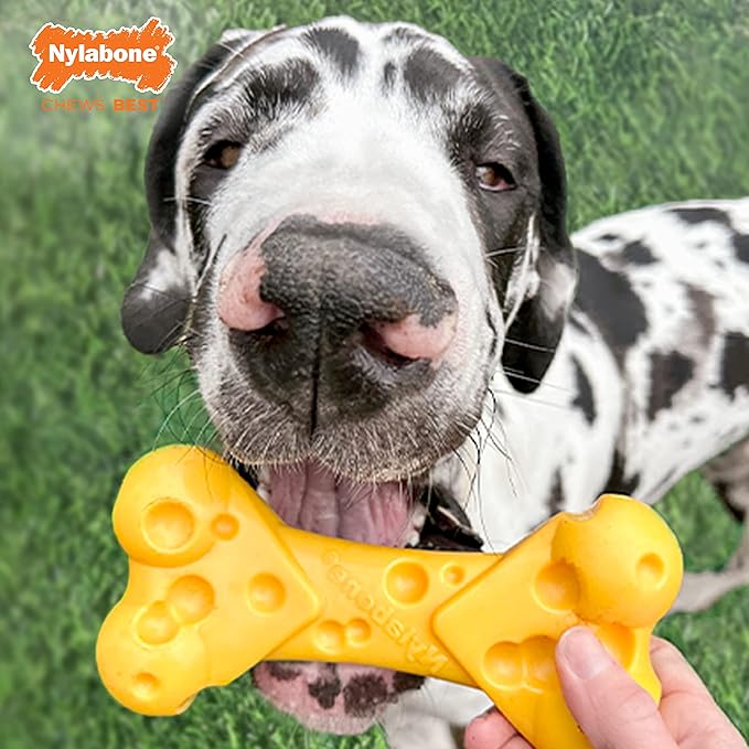Nylabone Power Chew Cheese Bone Dog Chew Toy, Cute Dog Toys for Aggressive Chewers, Cheese Flavor, X-Large/Souper (1 Count)
