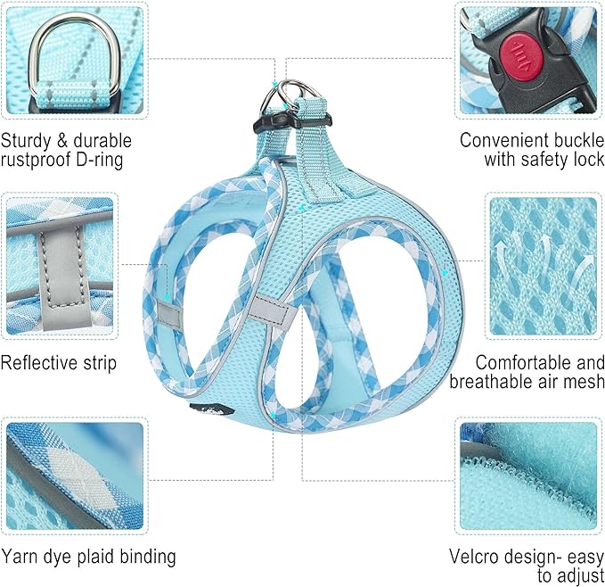 haapaw Dog Harness with Leash Set, No Pull Adjustable Reflective Step-in Puppy Harness with Thickened Padded Vest for Extra-Small/Small Medium Dogs