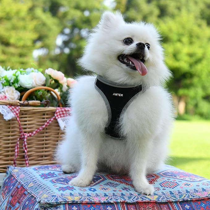 AMTOR Small Dog Harness with Leash Set, No Escape Easy Walk Puppy Harnesses for Training Walking, Step-in Reflective Soft Dogs Vest for XS S Medium Extra-Small Large Sized Dog(Black/Grey)