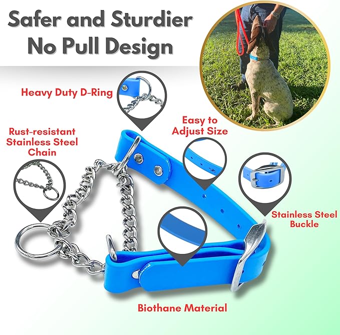 Martingale Collar for Dogs, Biothane, Stainless Steel Hardware, No Pull, Made in The USA, Professional Grade, Large Light Blue