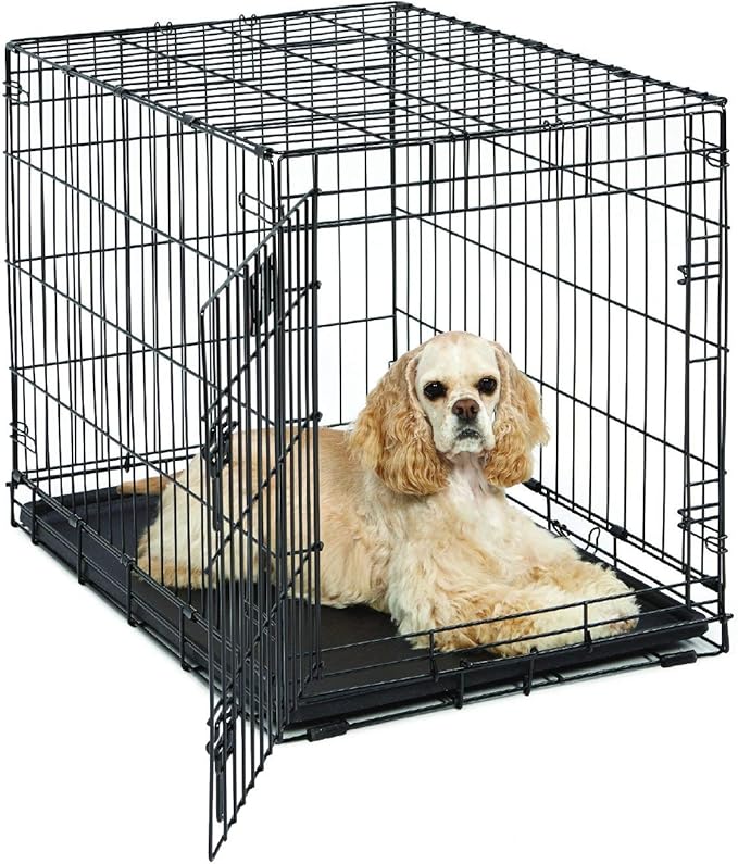 MidWest Homes for Pets Medium Dog Crate | Midwest Life Stages 30' Folding Metal Divider Panel,Floor Protecting Feet,Plastic Tray 30L x 19W 21H Inches,Breed