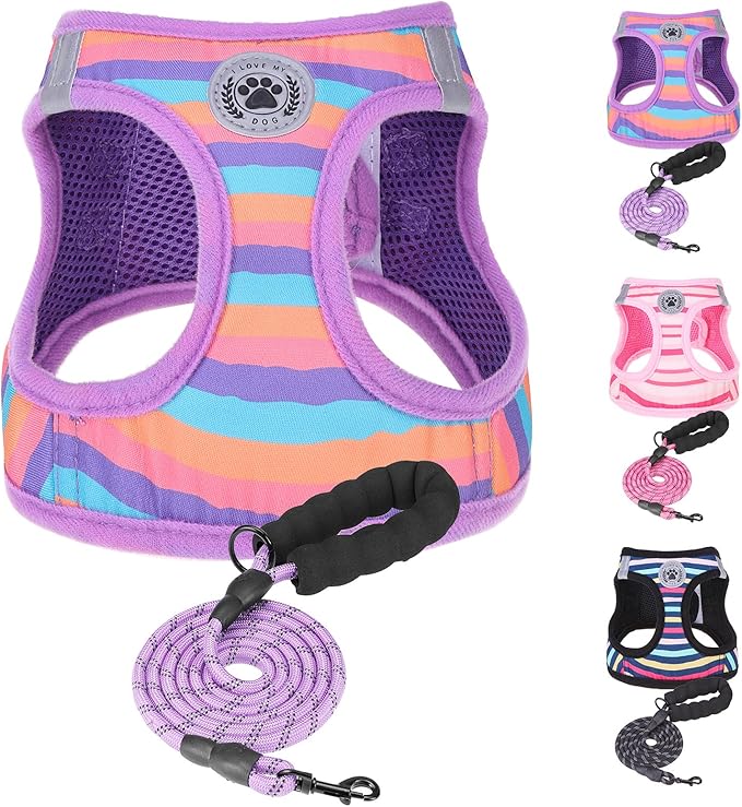 BEAUTYZOO Dog Harness and Leash Set for Small Dogs,No Pull Step-in Harness for Puppy XS S Sized Dogs and Cats,Air Mesh Adjustable Breathable Soft No Chock Escape Proof Vest Harness,Striped Purple XXS