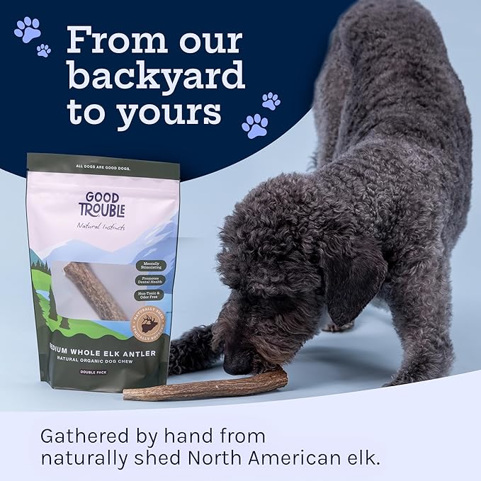 Good Trouble Pets Premium Elk Antlers for Medium Dogs - All-Natural, Shed Antler Chews for Dental Health & Calming - Durable Dog Bones for Aggressive Chewers - Cruelty-Free, North American Sourced