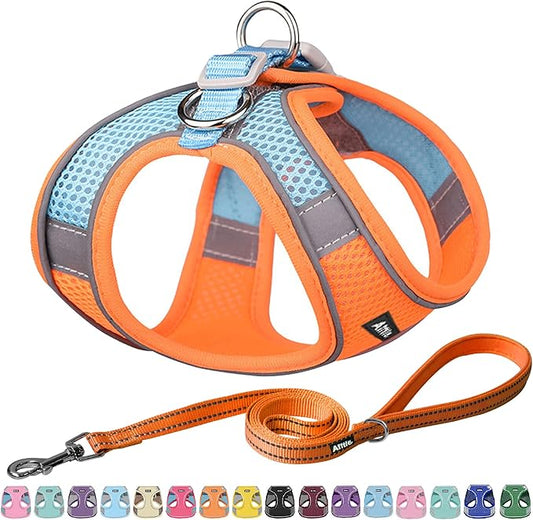 AIITLE Dog Harness, Spring No-Pull Cat Harness with a Leash, Adjustable Reflective Dog Vest, Cat Harness Escape Proof, Outdoor Walking, Camping for Extra Small Dogs and House Cats Orange XXXS