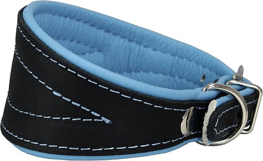 Real Leather Extra Wide Padded Tapered Dog Collar Glossy Black Greyhound Saluki Deerhound Lurcher Whippet Dachshund (11"-13" Neck; 2" Wide, Baby-Blue)