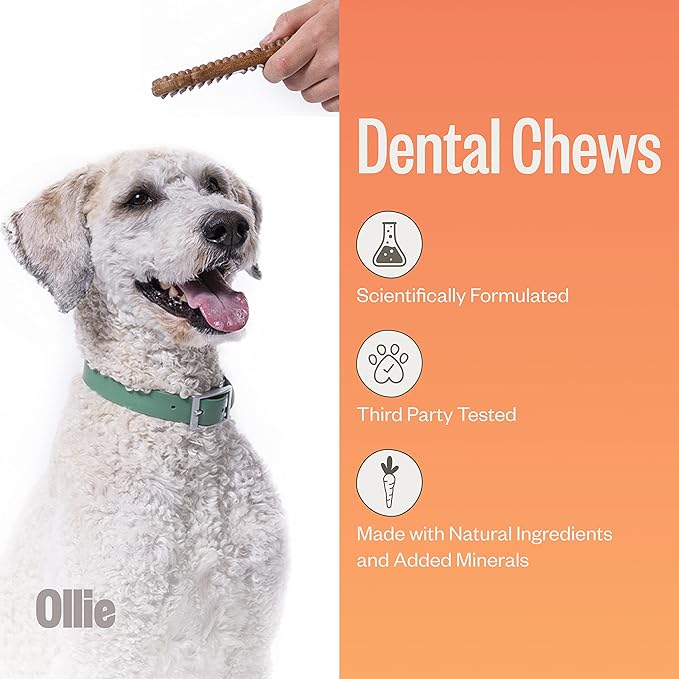 Ollie Dental Chews for Large Dogs, 12 Oz, Fresh Breath, Teeth Cleaning Treats, Sticks for Dog Oral Care, with Parsley and Cinnimon, for Pups 51 lbs and Above