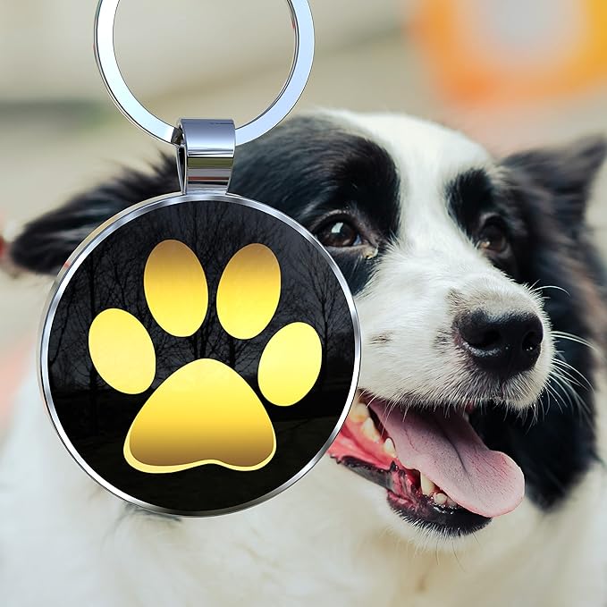 QR Code Dog Tag,Dog Tags Personalized for Pets, Custom Dog Name ID Tags Personalized Dog and Cat Tags -Free Online&Scan QR Receive Instant Location Alert Email