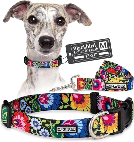 Lucky Love Dog - Easy Click Buckle Dog Collar with Leash Set Combo, Durable & Comfortable Collar for Male & Female Dogs, Pet Collar for Small to Large Dogs, Secure Fit - Blackbird Combo, Medium