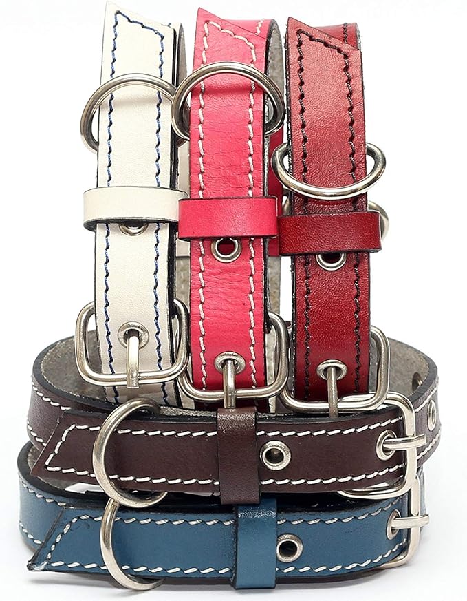 Premium Leather Collars with Stainless Steel Buckles (12"-15", Blue)