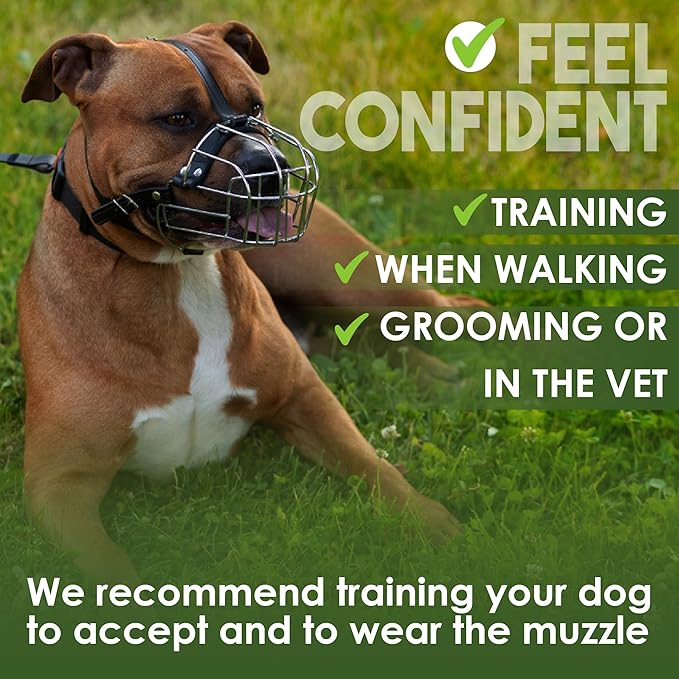 BRONZEDOG Dog Muzzle Wire Basket Metal Mask for Small, Medium and Large Dogs, Breathable, Dog can Drink, Adjustable, Padded, Training, Prevents Biting (Size 4: Pitbull & Amstaff)