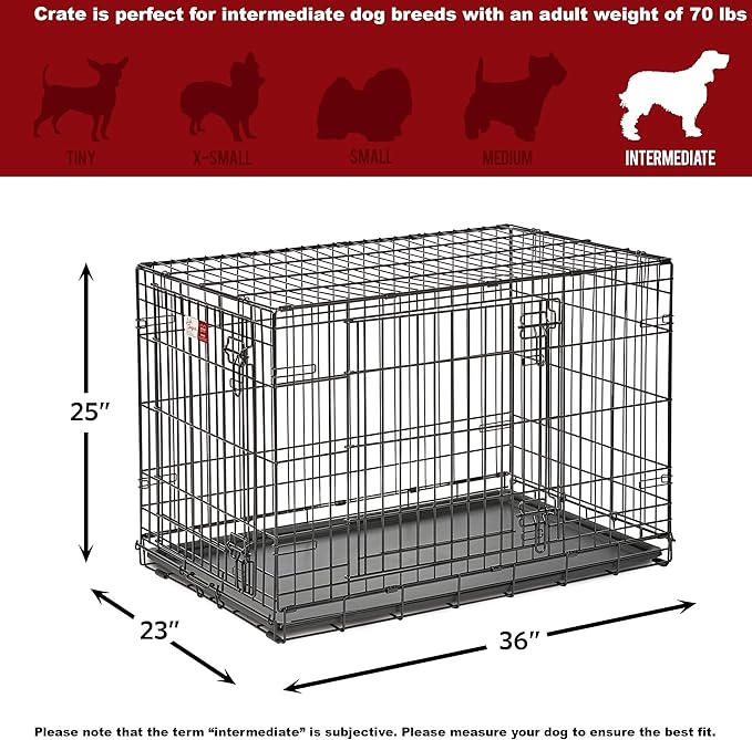 MidWest Homes for Pets Dog Crate Life Stages 36' Double Door Folding Metal Dog Crate | Divider Panel, Floor Protecting Feet, Leak-Proof Dog Pan | 36L x 23W x 25H Inches, Intermediate Dog Breed