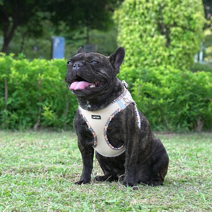 AMTOR Small Dog Harness with Leash Set, No Escape Easy Walk Puppy Harnesses for Training Walking, Step-in Reflective Soft Dogs Vest for XS S Medium Extra-Small Large Sized Dog(Beige,S)