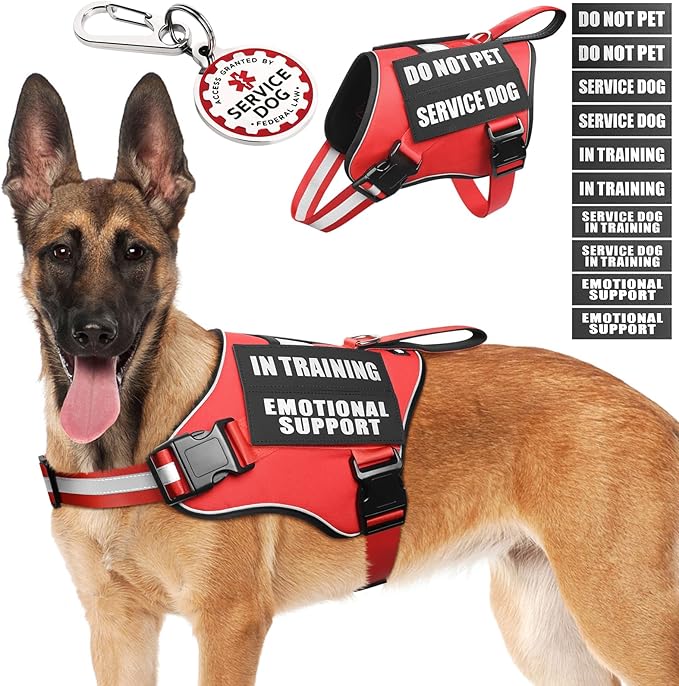 Service Dog Vest Harness+ID Tag+10 Patches,Metal Serivce Dog Tag&Reflective Emotional Support Dog Vest with Handle for Large Dogs,Easy Put On/Off for Training/Walking/Everyday Red L