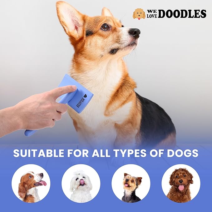 We Love Doodles Dog Slicker Brush for Grooming Pet Hair - Best Brushes For Poodle & Golden Doodle - Long Haired Brush For Dogs - Goldendoodle Long Pin Comb For Dematting (Medium Curved)
