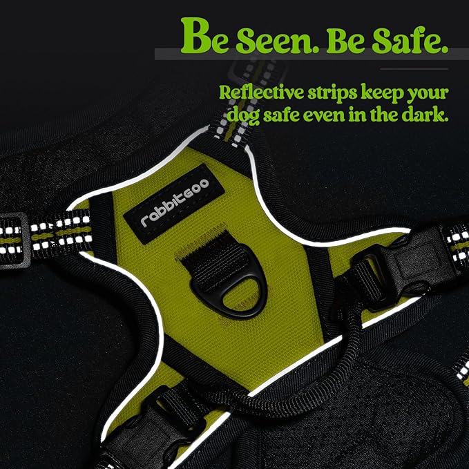 rabbitgoo Dog Harness, No-Pull Pet Harness with 2 Leash Clips, Adjustable Soft Padded Dog Vest, Reflective No-Choke Pet Oxford Vest with Easy Control Handle for Small Dogs, Wild Lime, XS