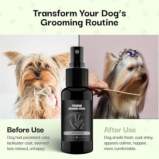 605Products Premium Dog Cologne & Odor Eliminator - Long Lasting Puppy Perfume, Deodorant & Grooming Spray with Essential Oils, 2oz Lavender (3-Pack)