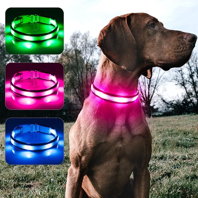 BSEEN Light Up Dog Collar - Glow in The Dark LED Dog Collar Rechargeable, Reflective Puppy Collar, Dog Camping Gear Dog Collar Light for Night Walking (Medium, Pink Ⅱ)