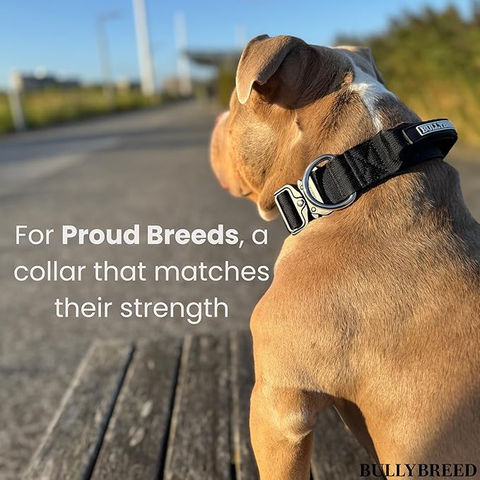 BULLYBREED Premium Dog Colar with Handle, Heavy Duty Dog Collar, Tactical Dog Collar, Quick-Release Metal Buckle, Puppy Collar, Dog Collar for Small Dogs, Dog Collar for Medium Dogs (Brown, Small)