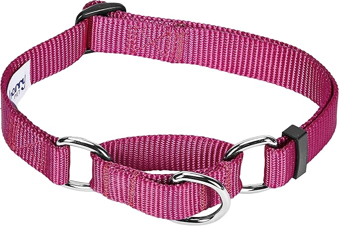 Blueberry Pet Essentials Martingale Safety Training Dog Collar, Very Berry, Small, Heavy Duty Nylon Adjustable Collars for Dogs