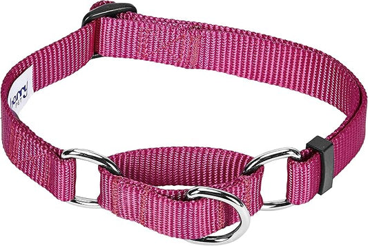 Blueberry Pet Essentials Martingale Safety Training Dog Collar, Very Berry, Small, Heavy Duty Nylon Adjustable Collars for Dogs