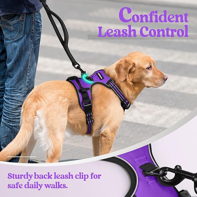 rabbitgoo Dog Harness, No-Pull Pet Harness with 2 Leash Clips, Adjustable Soft Padded Dog Vest, Reflective No-Choke Pet Oxford Vest with Easy Control Handle for Small Dogs, Purple, S
