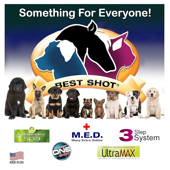 Best Shot Scentament Spa Botanical Body Splash, Harvest Apple, 8 oz