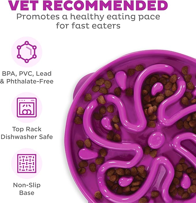 Outward Hound Fun Feeder Slo Bowl, Large Slow Feeder Dog Bowl, 4 Cups, Purple